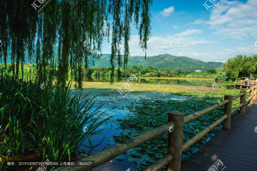 邛海湿地公园