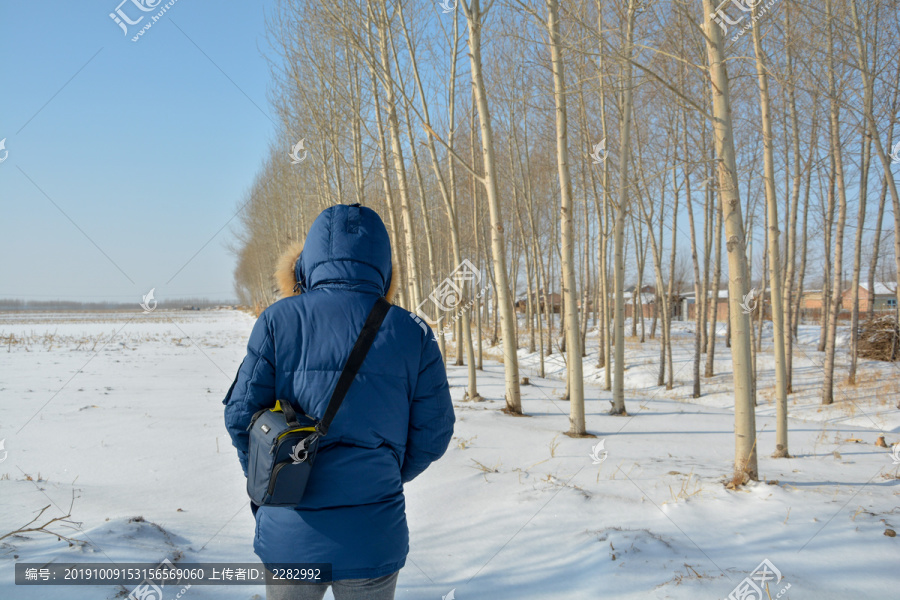 东北雪地