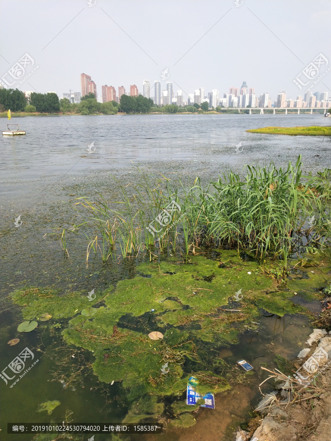 河面