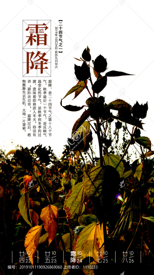 霜降節(jié)氣海報(bào)