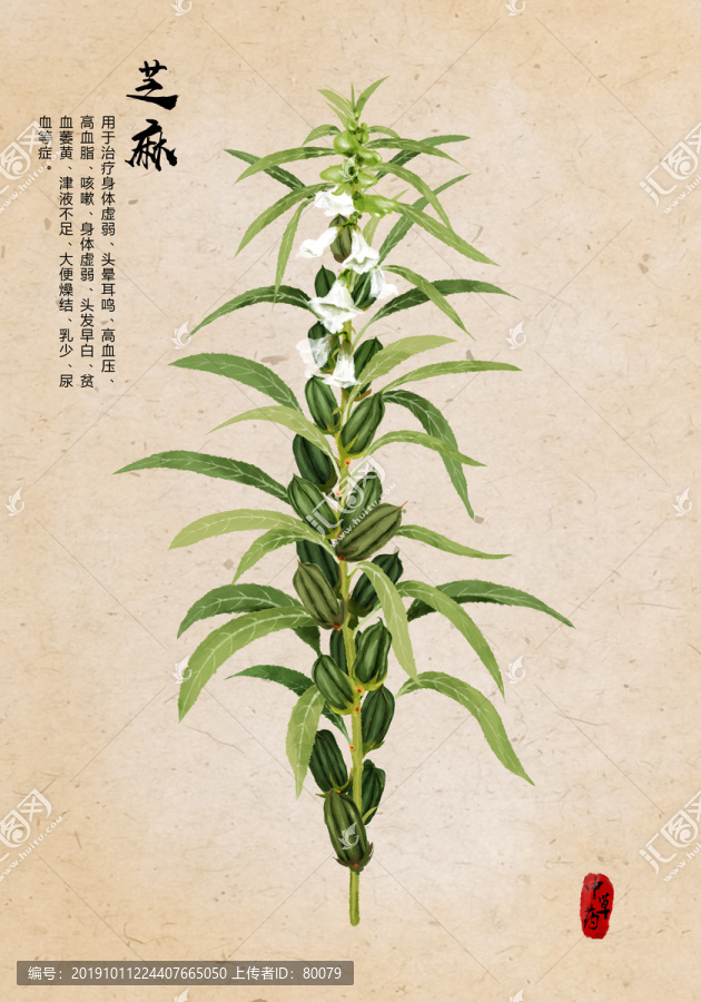 芝麻