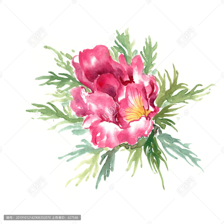 綻放的紅色花朵
