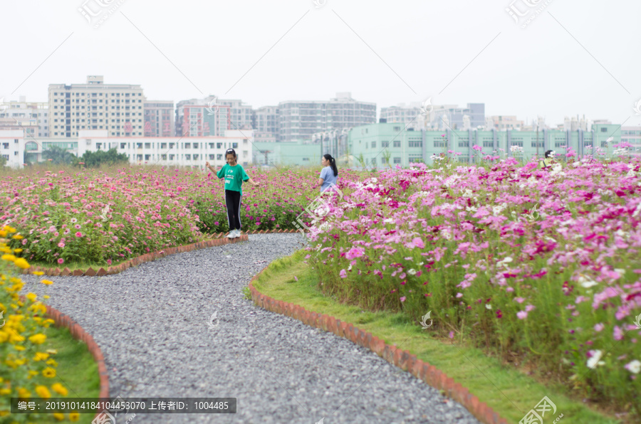 花海