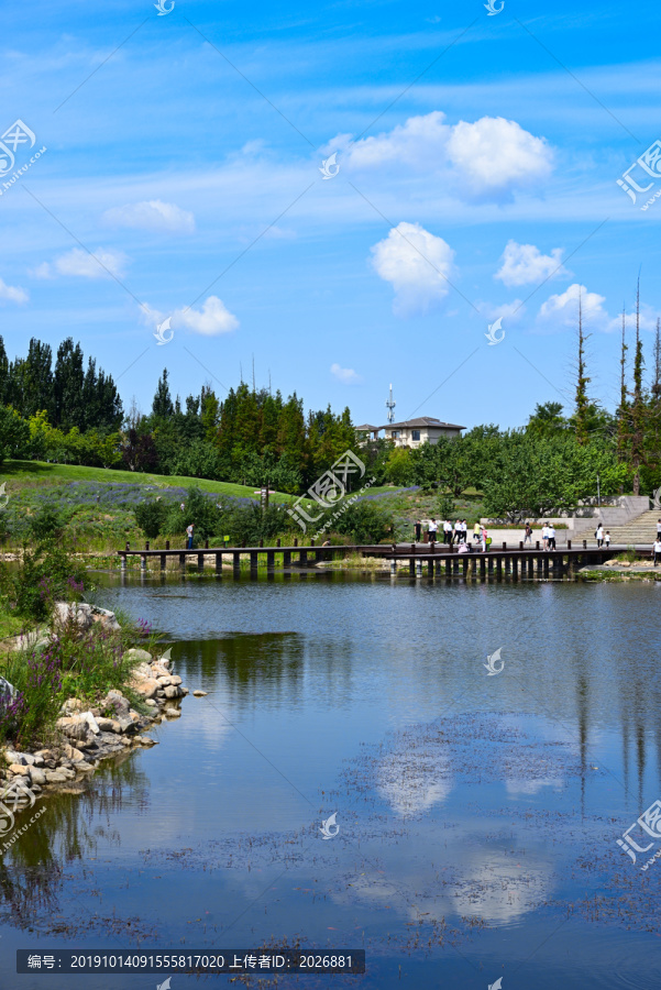 夏日龙湖