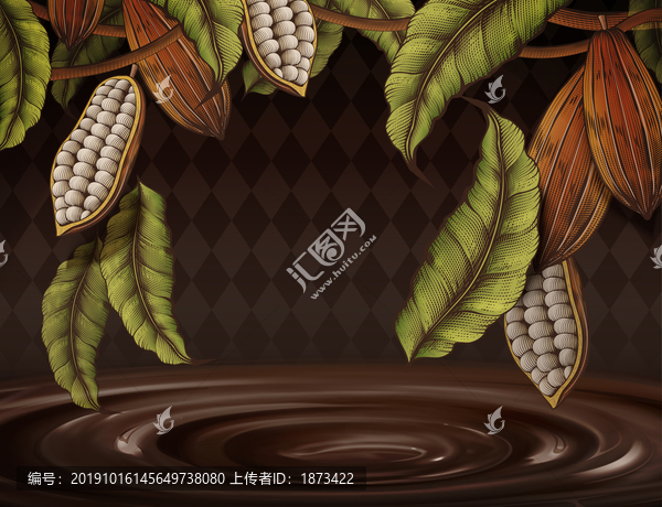 復(fù)古可可果實背景