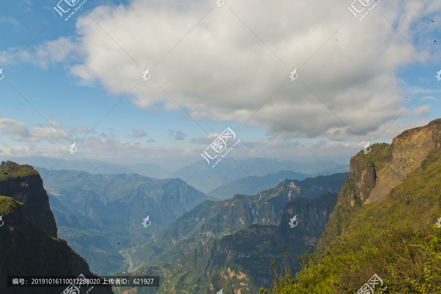 高山草甸