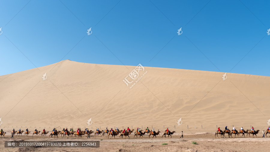 沙丘与驼队