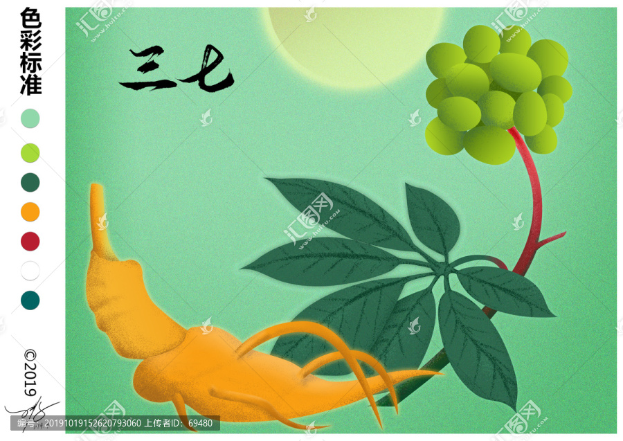 文山三七插畫
