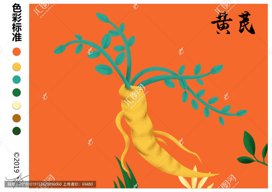 黃芪插畫