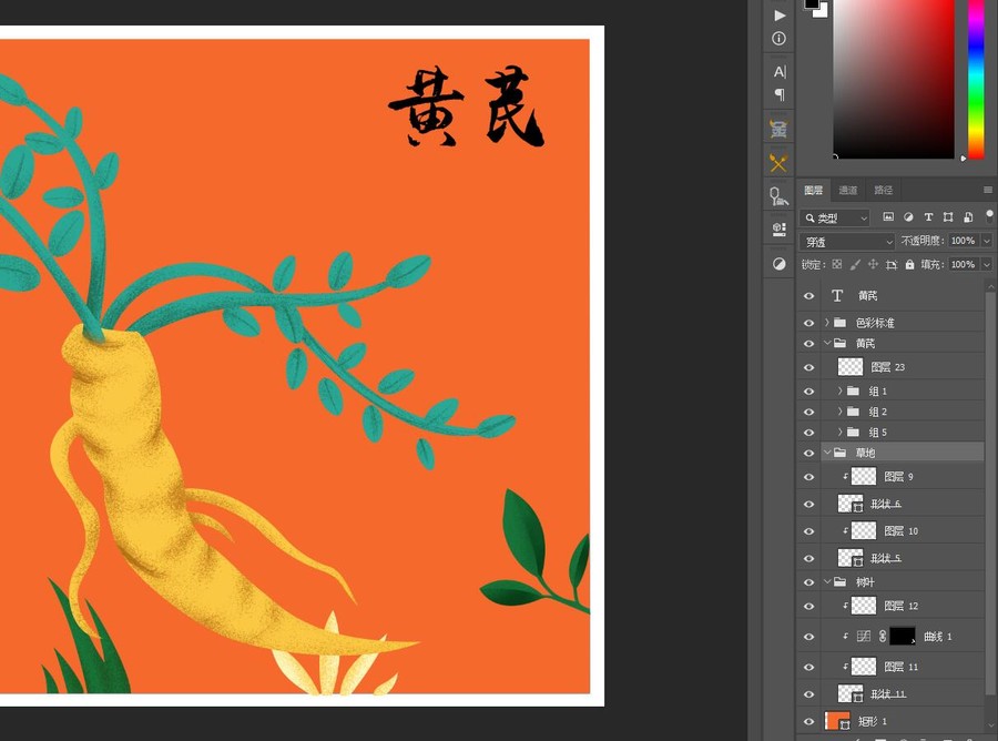 黃芪插畫