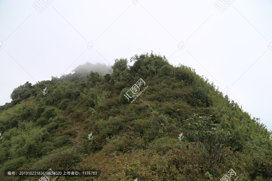 凤庆大雪山黄竹林箐