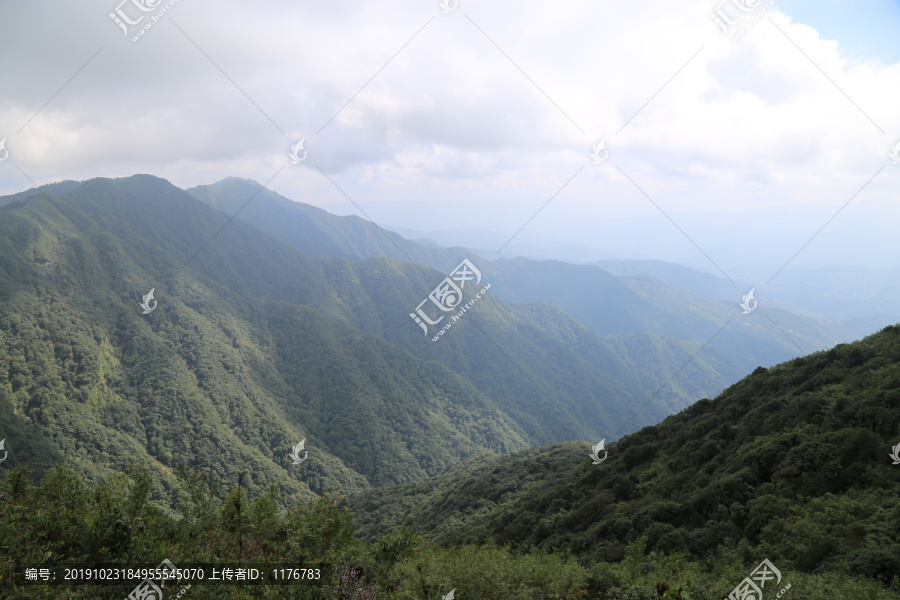 凤庆大雪山黄竹林箐