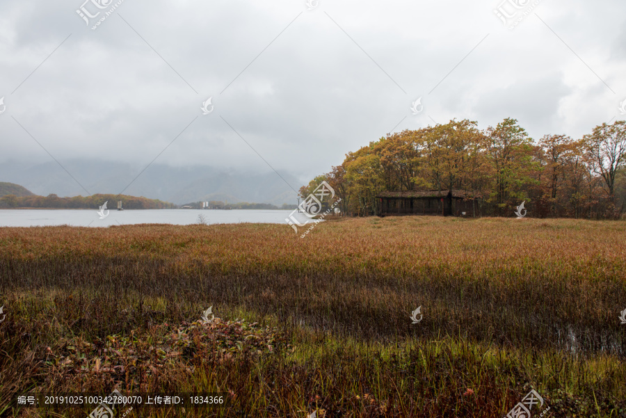 湿地公园