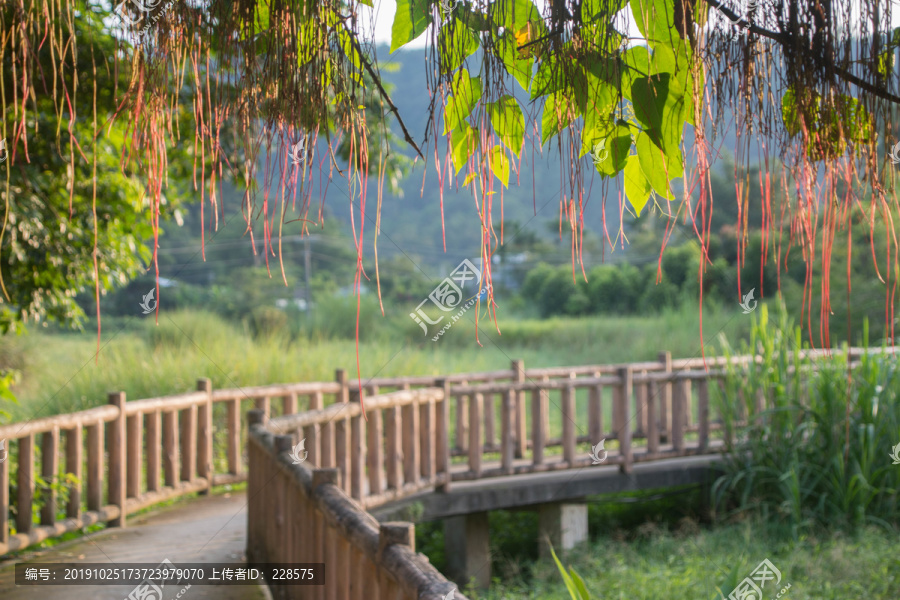 木栈道