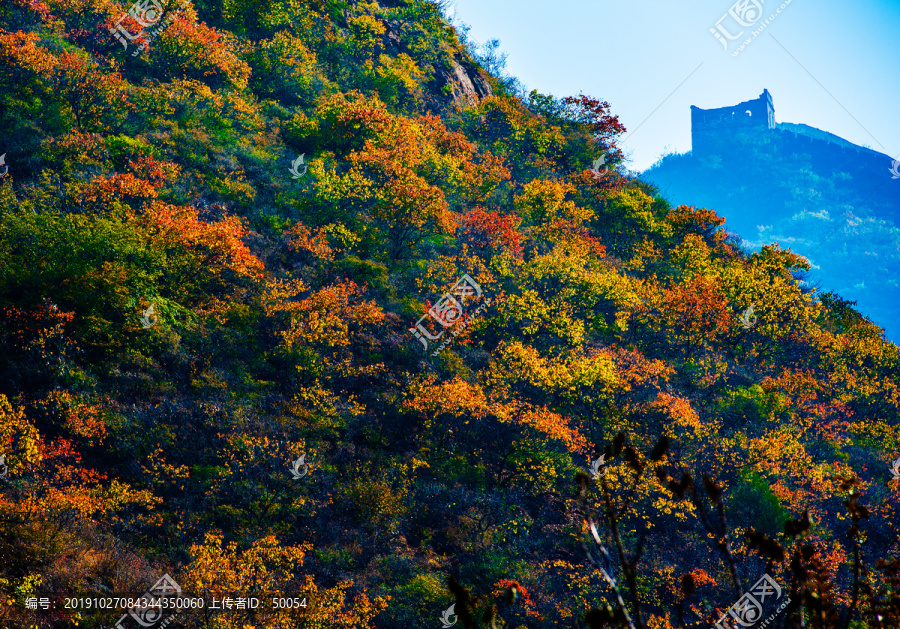 金山岭秋色