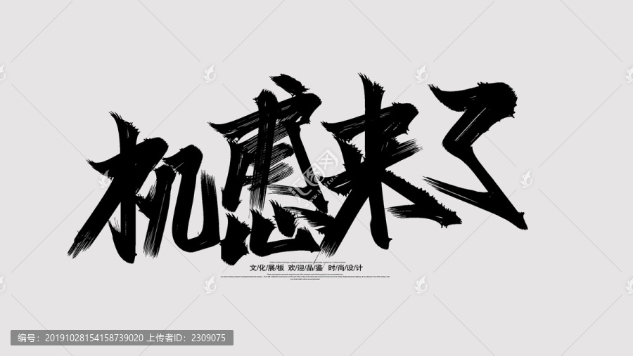 機會來了