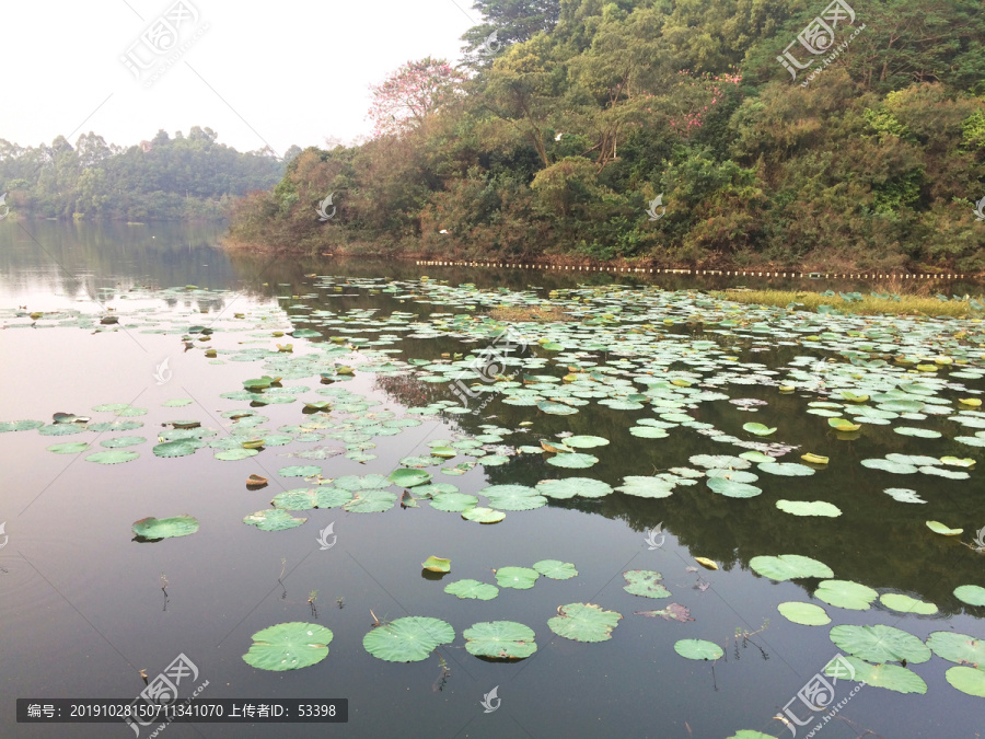 湿地公园