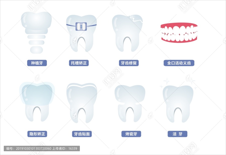 牙齿图标矢量