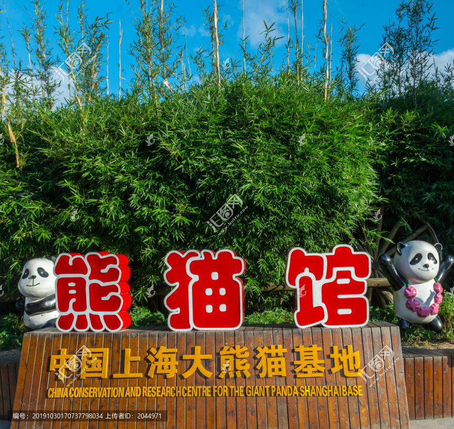 中国上海大熊猫基地