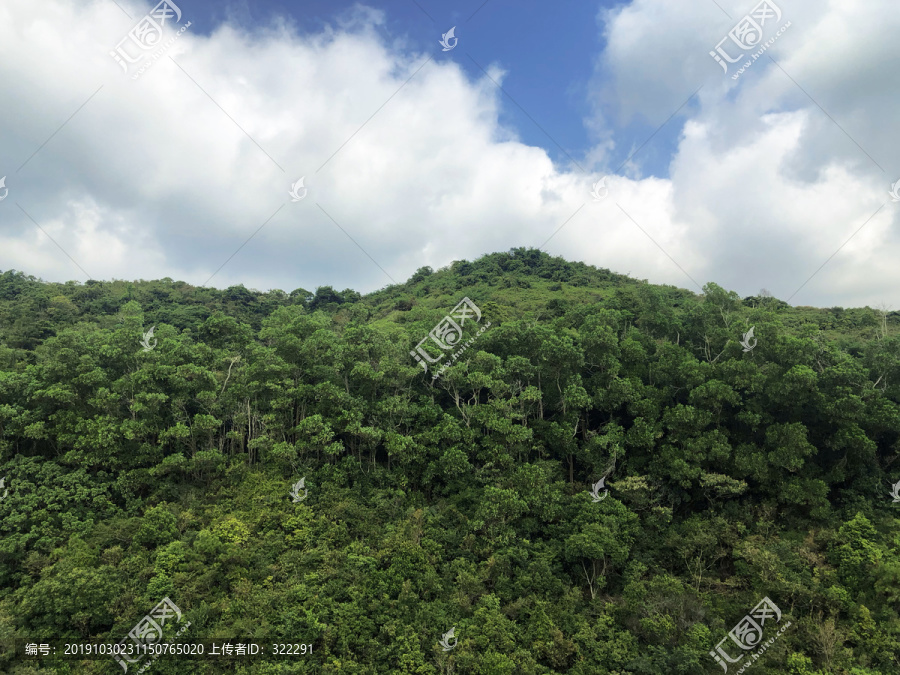 东西冲风景