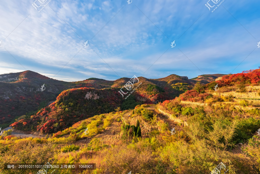 博山和尚房禹山路秋景