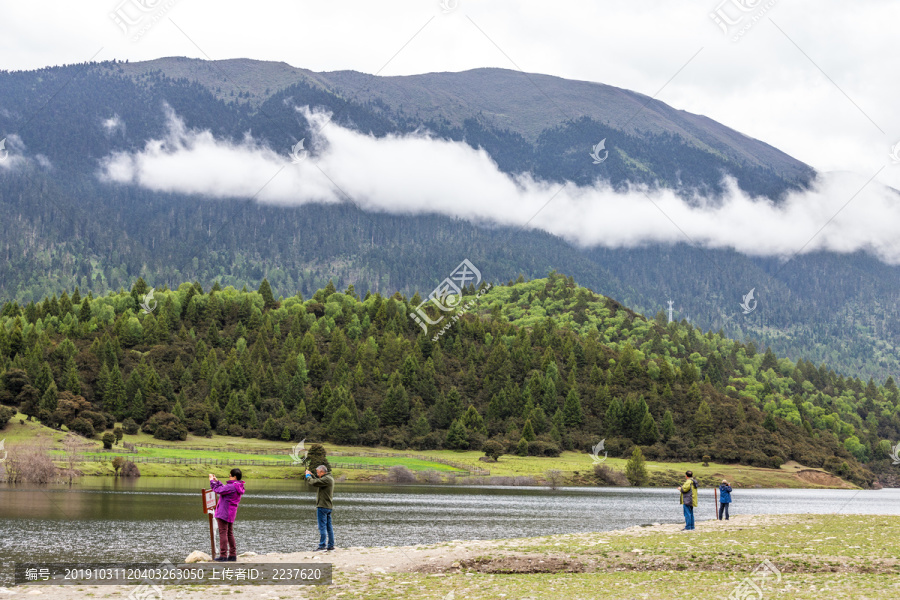 山林