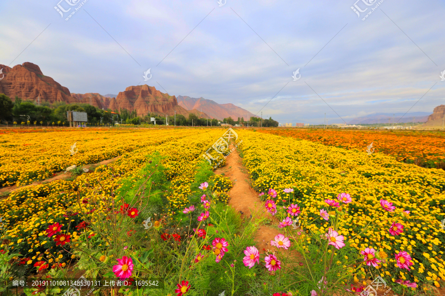 花海