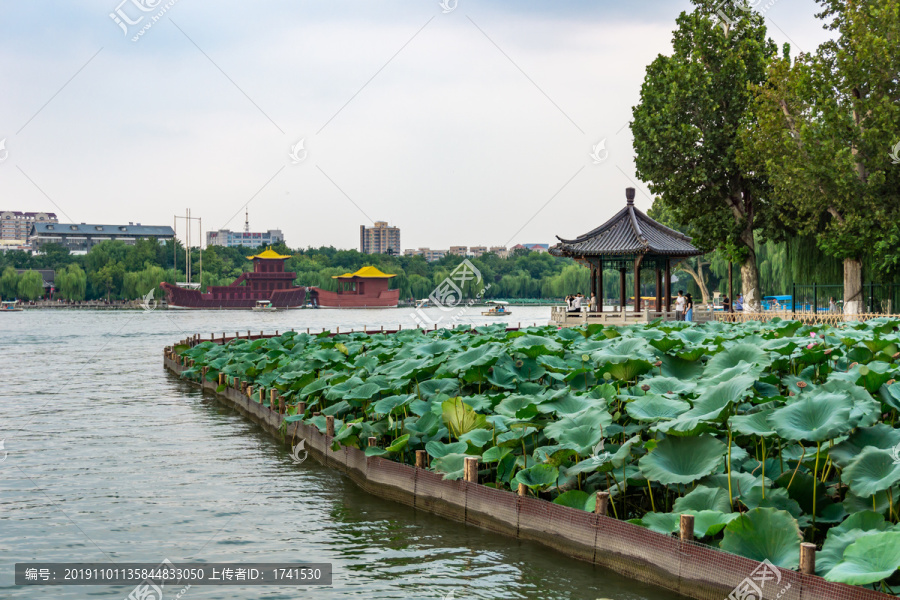 大名湖公园风光图片