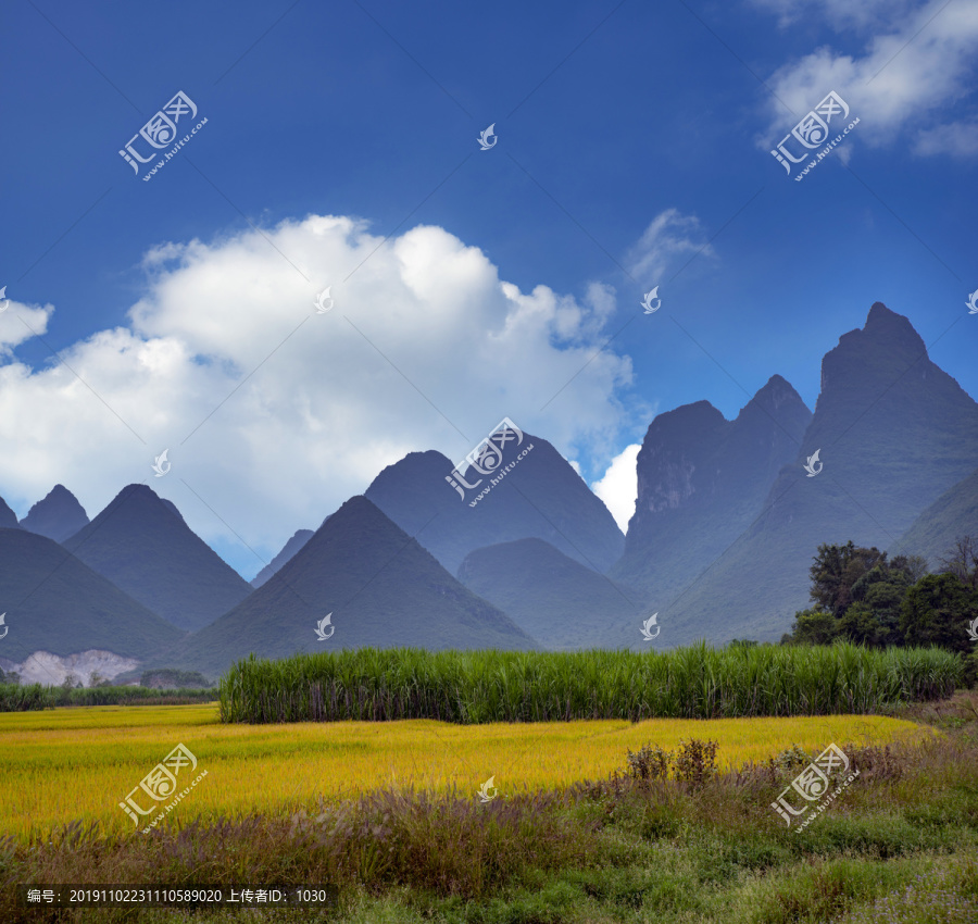 风景