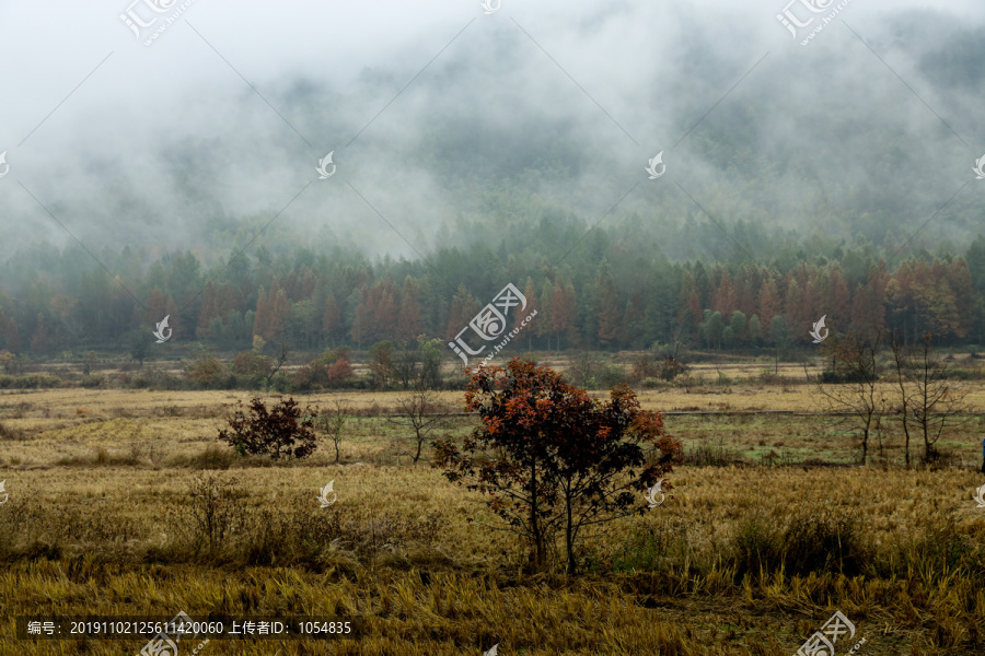 山水风景