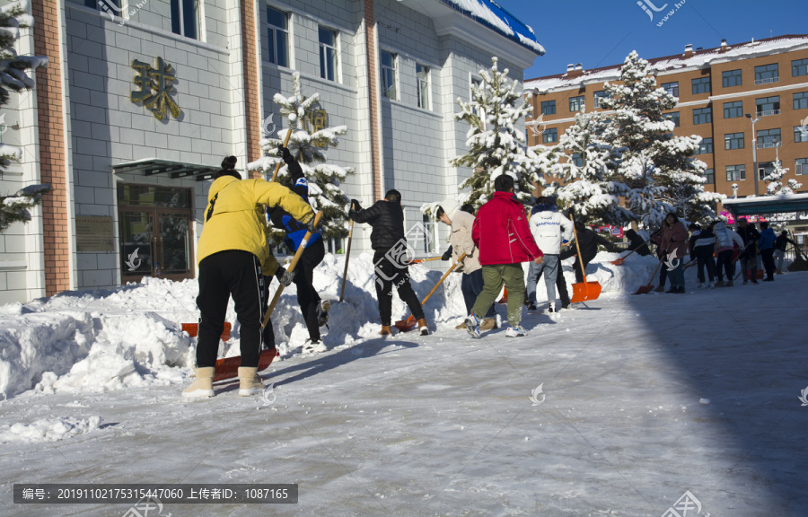 校园学生清雪劳动