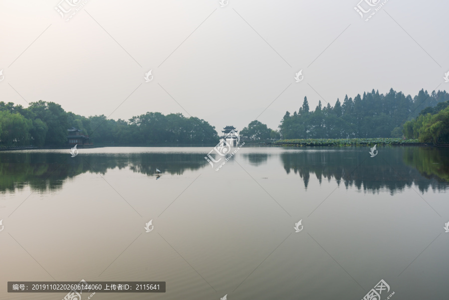 杭州西湖曲院风荷岳湖晨景