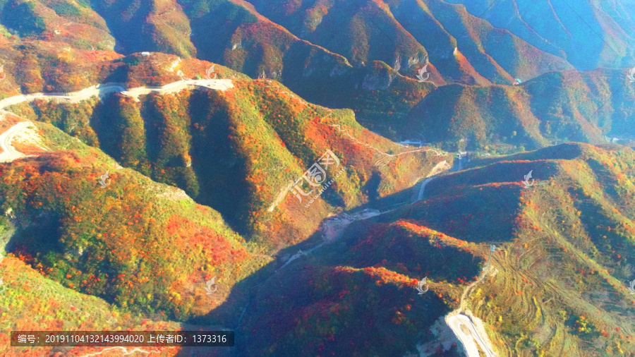 太行山庄子岭红叶