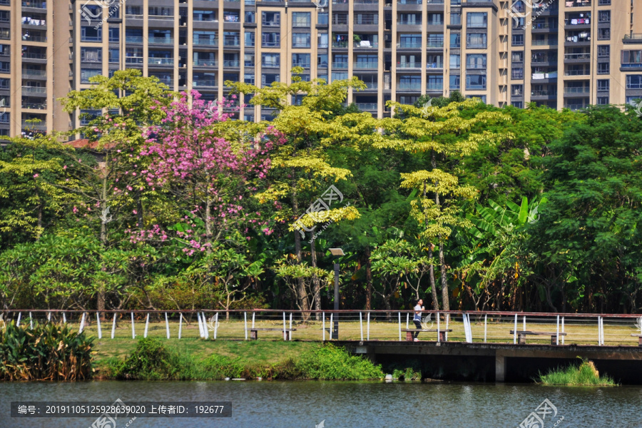 惠州金山湖公园