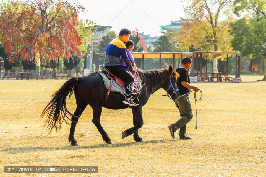 亲子骑马