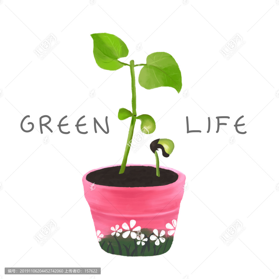 植物手繪