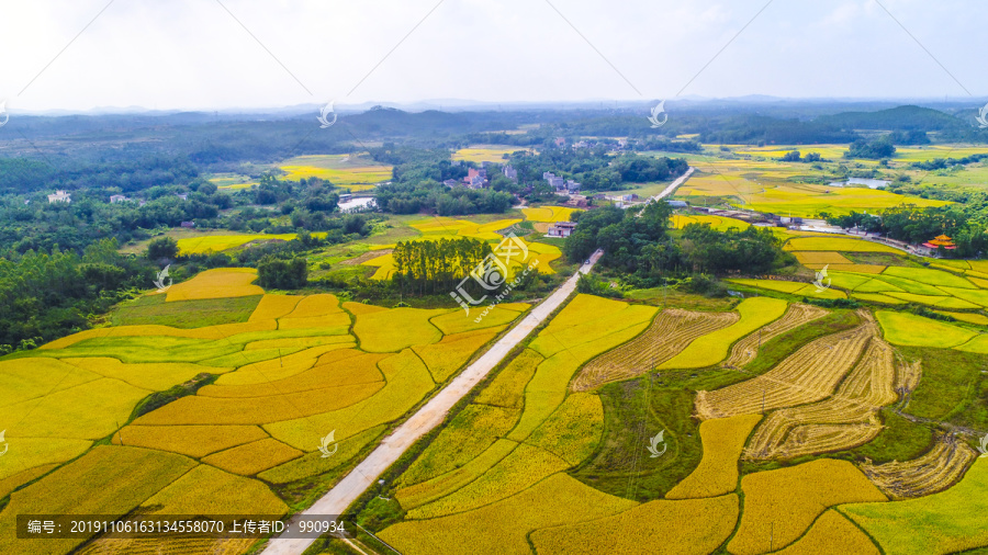 田园风光