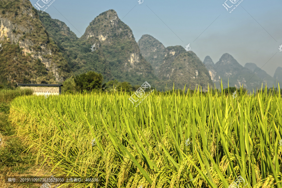 桂林山水诗意田园