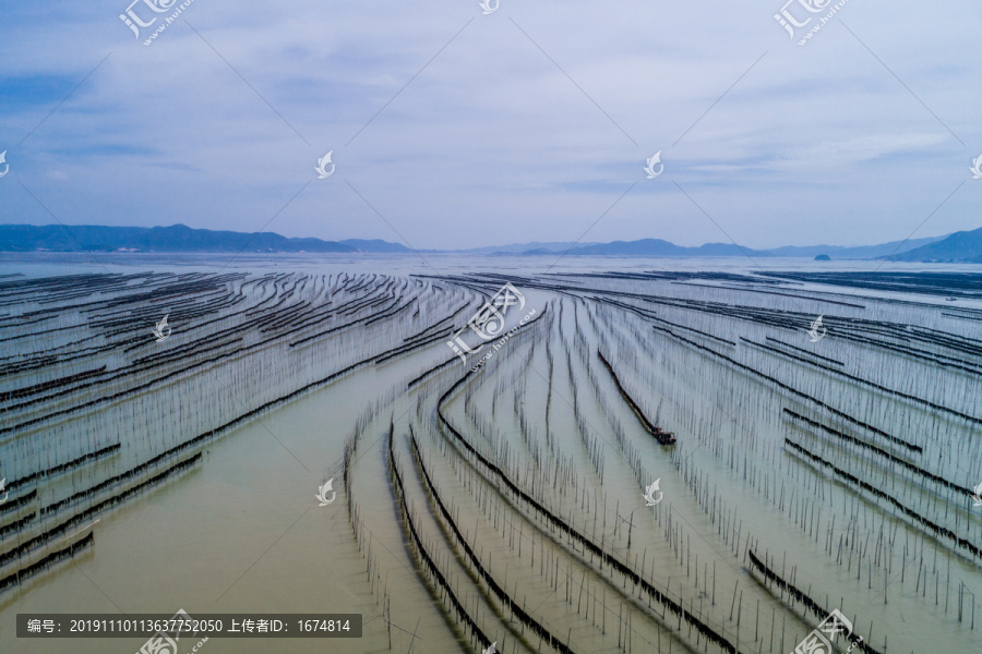 霞浦围江海带养殖基地