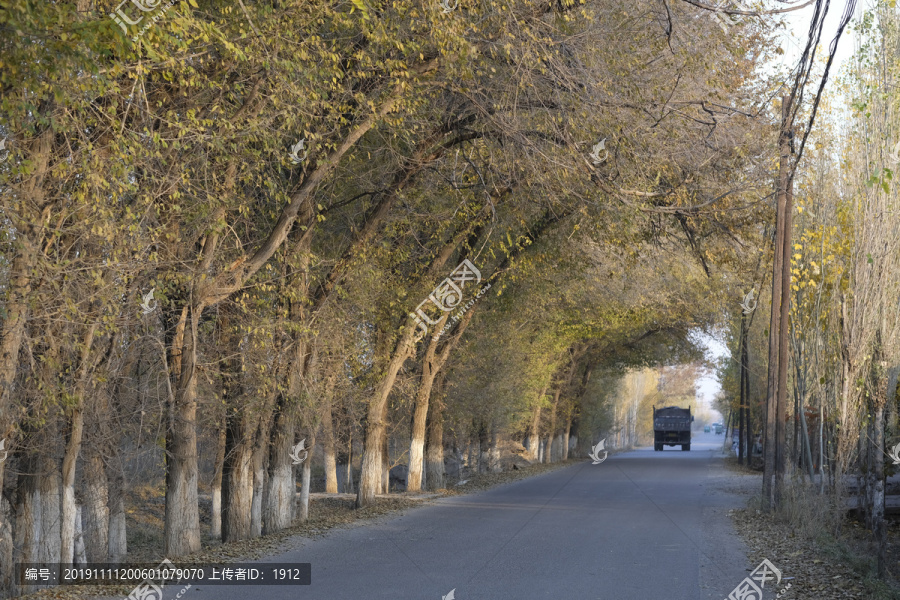 林荫路