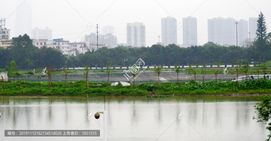 城市湖泊风光图片