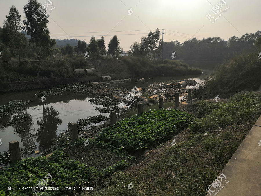 小董鎮圖片