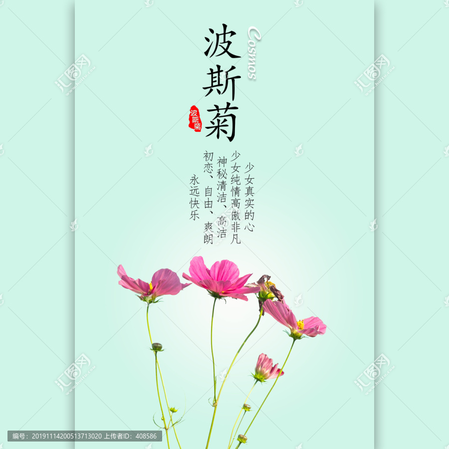 波斯菊花語(yǔ)