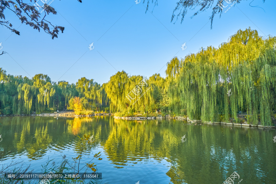 北京大学风光