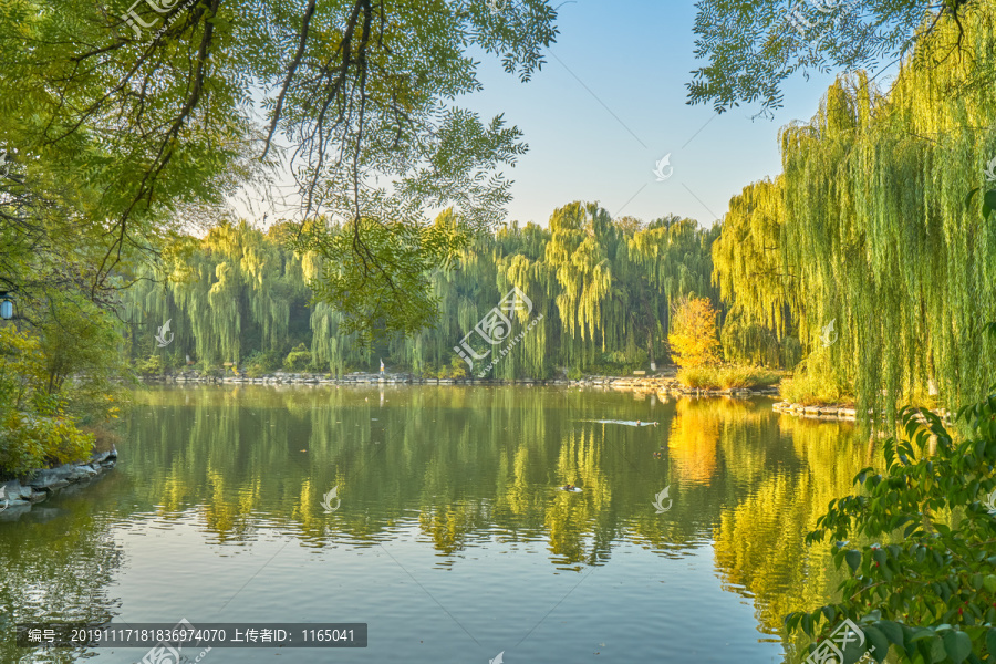 北京大学未名湖秋景