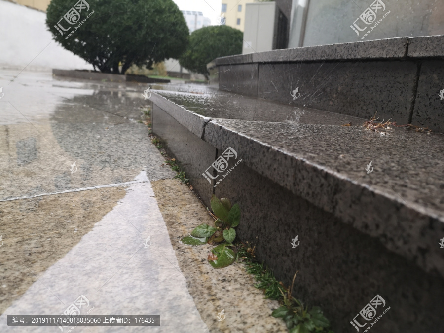 雨中