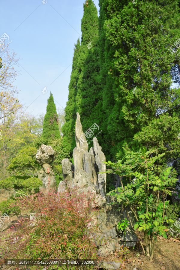 假山松树