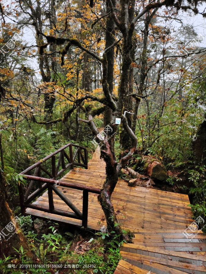 龙苍沟景区木栈道