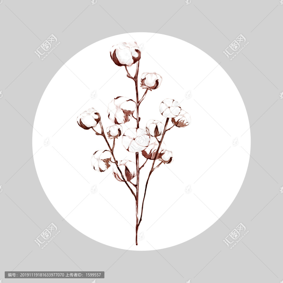 棉花