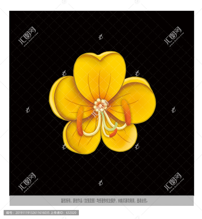 黃槐花圖片